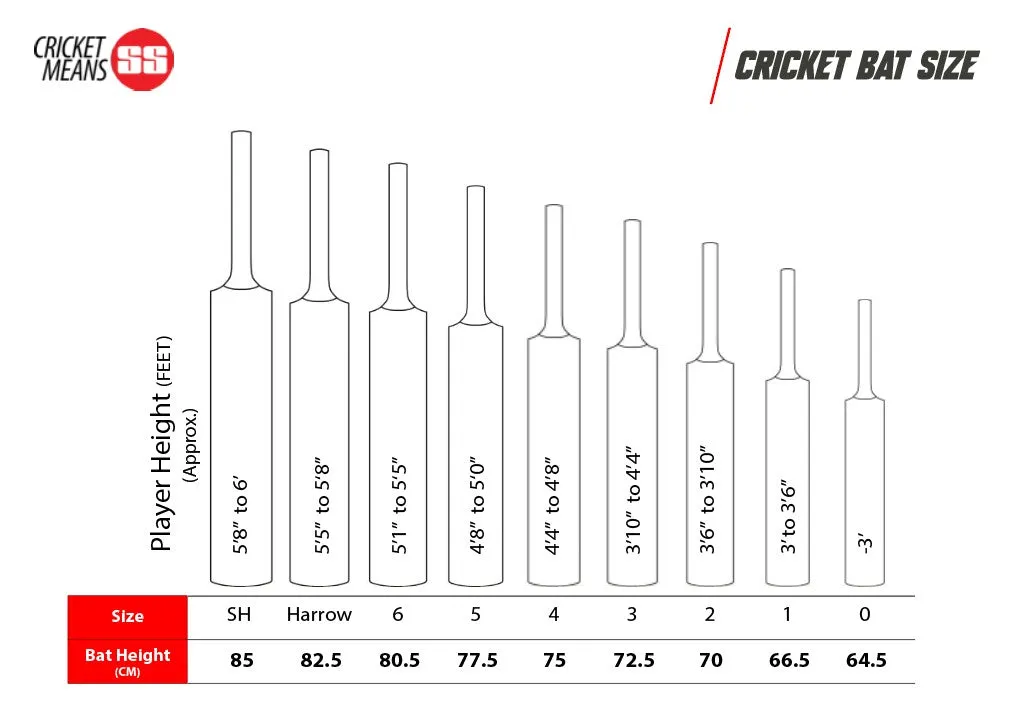 SS Tilak Verma Kashmir Willow Cricket Scoop Bat | KIBI SPORTS